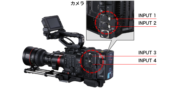 EOS C500 MarkⅡ 25